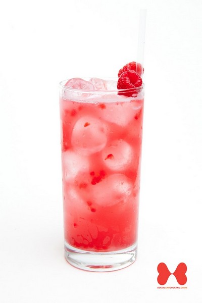 Raspberry Tiki Twist Punch recipe