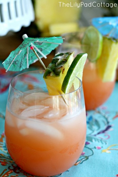 Rum Punch (Alcoholic) recipe